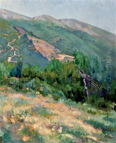Mir Tpaisaje - view 1
