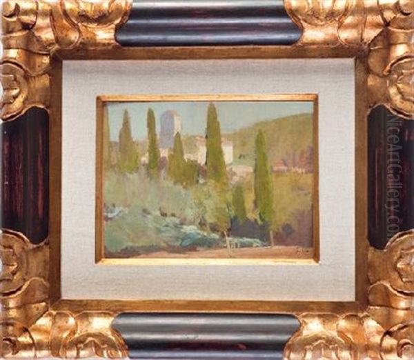 Cipreses - view 1