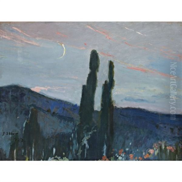 Atardecer (twilight) - view 1