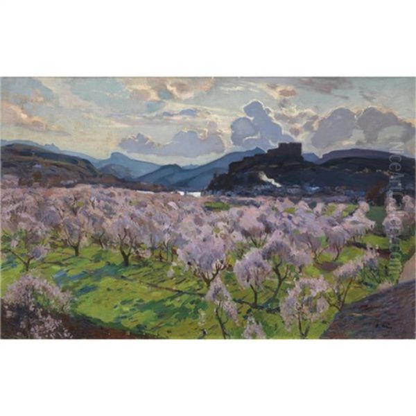 Miravet - view 1