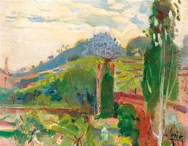 Paisaje (landscape) - view 1