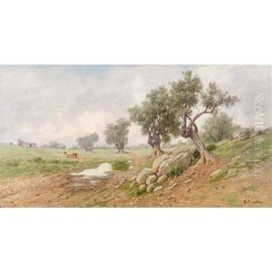 Paesaggio Con Alberi D"ulivo