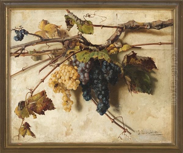 Uvas - view 1
