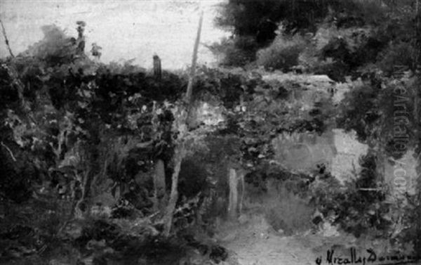 A Mediterranean Garden - view 1