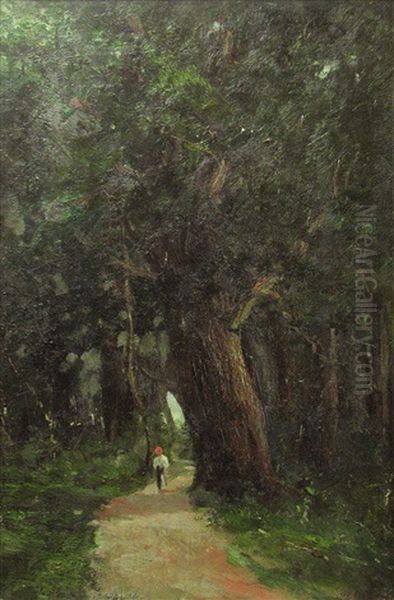 In The Forest - view 1