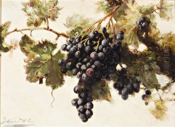 Racimos De Uvas - view 1