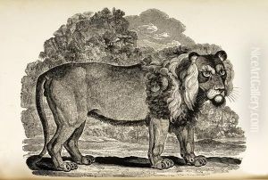The Works Of Thomas Bewick. by Thomas Bewick