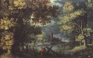 Paysage De Sous-bois