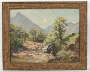 A Highland Stream by Colin Gillespie Mitchell