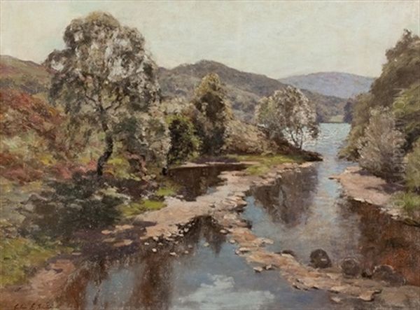 Birch By The River - view 1