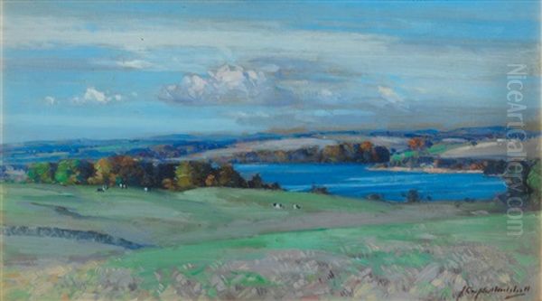 Auchenreoch Loch - view 1
