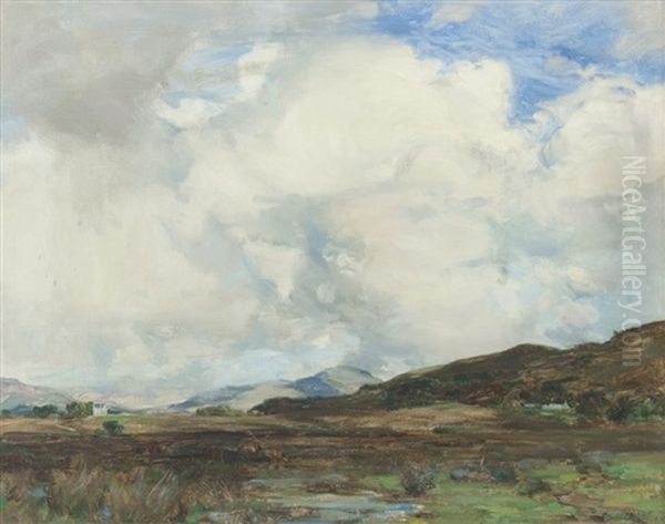 Cloudy Sky - view 1