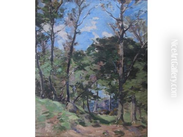 Corstorphine Woods - view 1