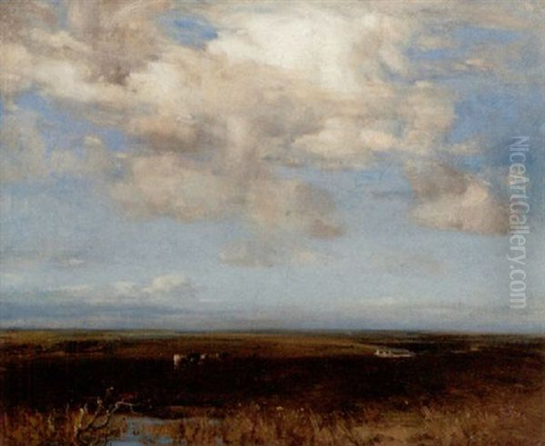 Night On A Galloway Moor - view 1