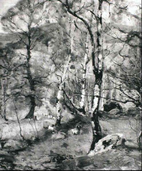 Autumn Woodland - view 1