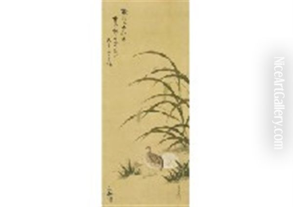 Quail - view 1