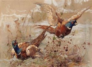 "fasane" by Alfred Beyer