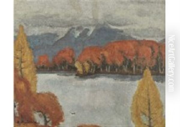 Landscape - view 1