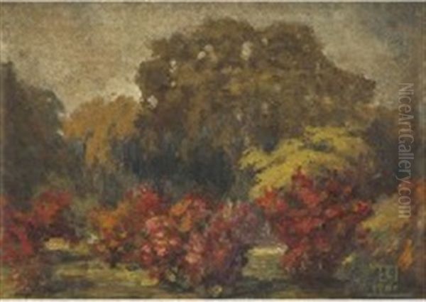 Landscape - view 1