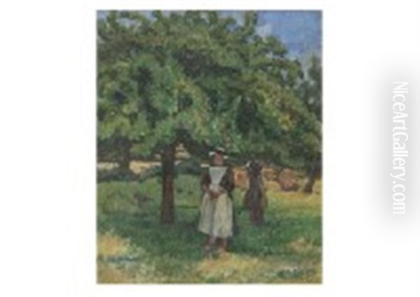 Orchard - view 1