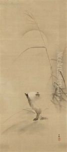 Marderhund (tanuki) Und Riedgras (susuki) Bei Vollmond