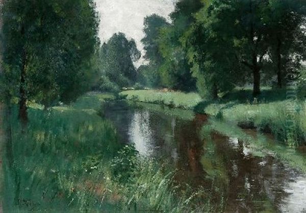 Sommerliche Flusslandschaft - view 1