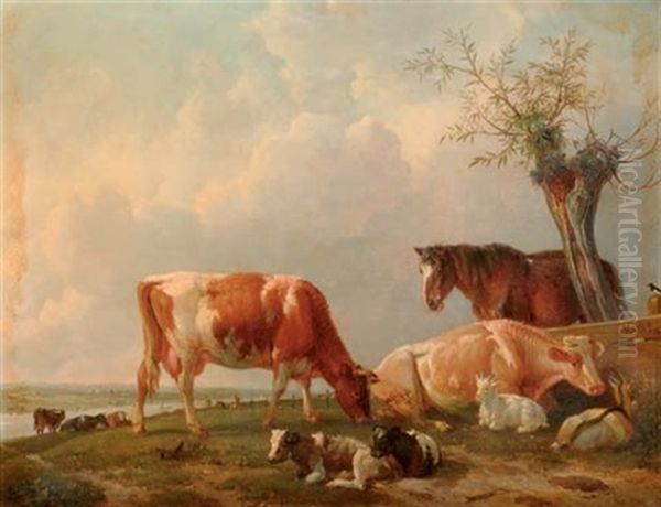 Spring: Cattle Resting By A River - view 1