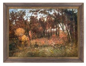 Waldbild Waldbild