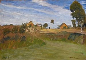 Weg Im Moor