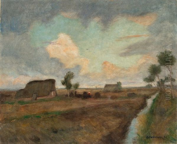 Moorlandschaft (luft Wie Einsames Moor) - view 1