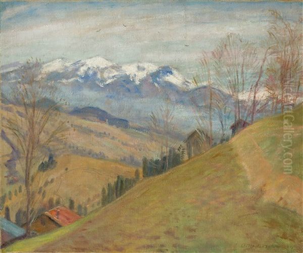 Vorfruhling Am Gailenberg - view 1