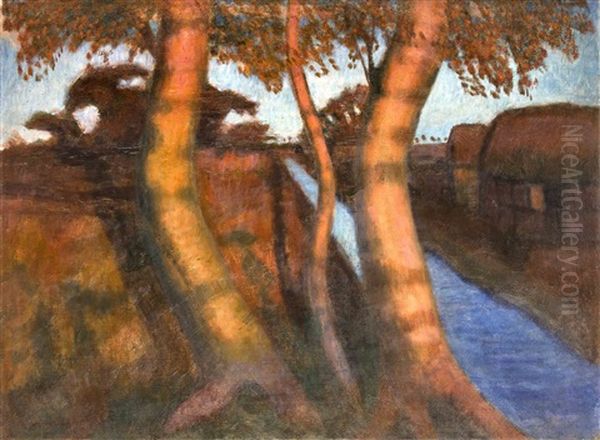 Abendsonne Im Moor - view 1