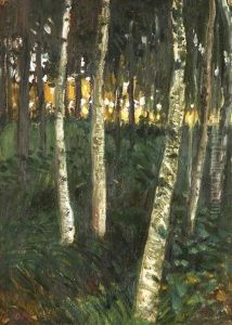 Besonnte Lichtung Im Birkenwald