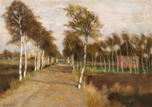 Birkenalle Im Moor