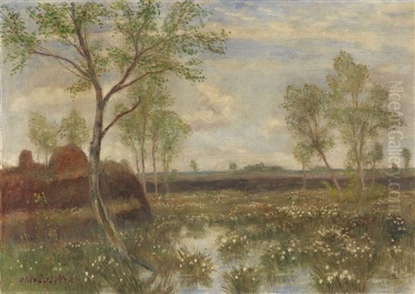 Landschaft Bei Fischerhude (fruhling Im Moor) - view 1