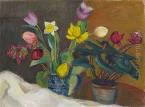 Alpenveilchen Mit Fruhlingsblumen