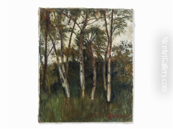Group Of Birches - view 1
