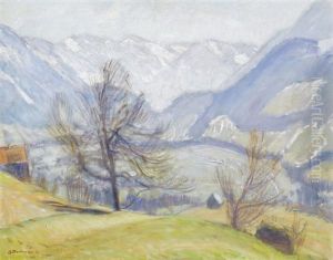 Vorfruhling In Den Hintersteiner Bergen