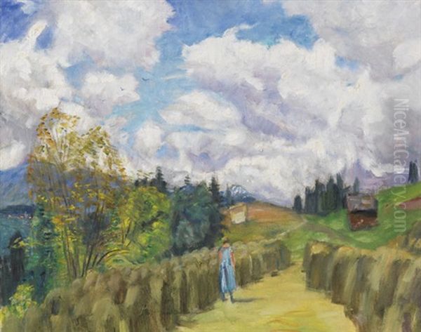 Sommerliche Gailenberglandschaft - view 1