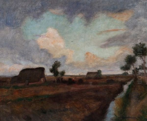 Moorlandschaft (luft Wie Einsames Moor) - view 1