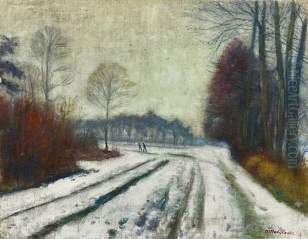 Winterlandschaft, Weg Nach Surheide - view 1