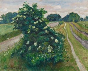 Bluhender Holunderbusch
