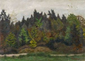 Surheide (+ Landschaft Mit Fischen, Allgau, Verso) Surheide (+ Landschaft Mit Fischen, Allgau, Verso)