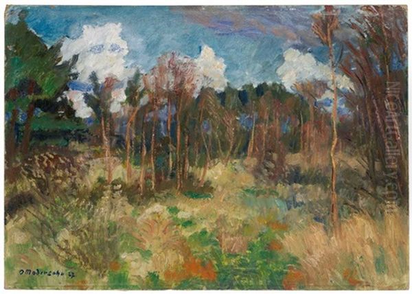 Heidelandschaft (surheide) - view 1