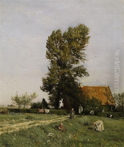 Sonniger Herbsttag (munster - Das Haus Des Milchmanns) - view 1
