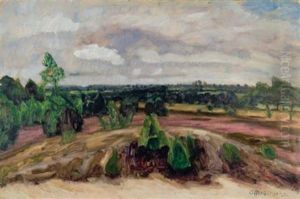 Heide Bei Fischerhude