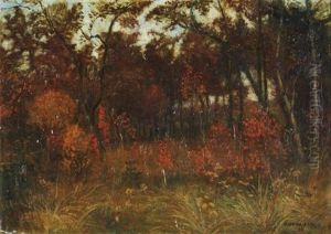 Herbst In Der Surheide Herbst In Der Surheide
