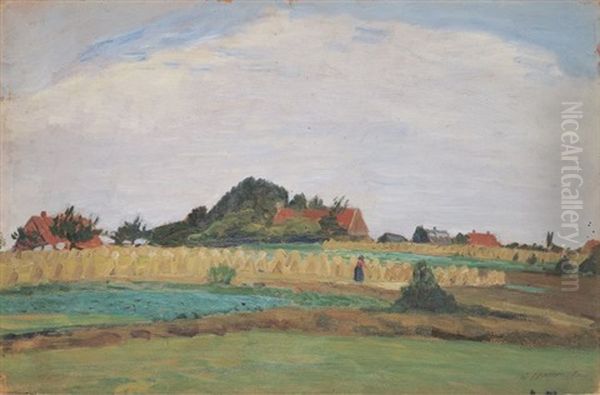 Heidelandschaft Mit Kornhocken - view 1