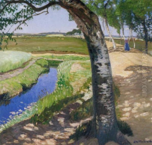 Sommerliche Moorlandschaft Bei Worpswede - view 1