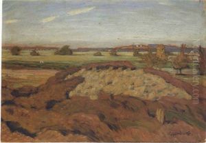 Heide- Und Wiesenlandschaft
